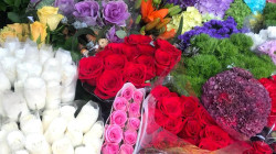 Colombia brilla en un nuevo San Valentín: 60 mil toneladas de flores en venta este año