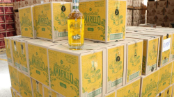 Las dos guerras que ganó la Licorera de Caldas en defensa del Aguardiente Amarillo: esta es la historia