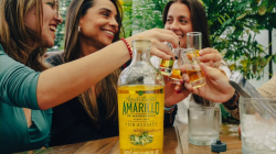 Abren fronteras al Aguardiente Amarillo de Manzanares en todo Colombia: fallo de la Corte beneficia a Caldas