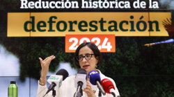 Deforestación en Colombia aumentó en el 2024: subió 35% con 107.000 hectáreas arrasadas