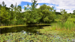 Los humedales son clave para enfrentar mejor la crisis climática: recuerda ministra de Ambiente de Colombia