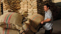 Cooperativas de caficultores en Colombia se alistan para nuevo plan de salvamento, así operaría este acuerdo