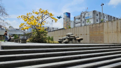 Agéndese para Al airelibro, una actividad de la Red de Escritoras de Caldas y el SES Hospital de Caldas