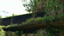 Con signos de tortura, así encontraron dos cuerpos arrojados en bolsas en zona boscosa de Pereira 