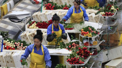 Colombia busca negociar con Estados Unidos la disminución o eliminación del arancel del 10 %