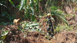 Hallaron correa y pantalón de policía desaparecido en Manizales: así va la búsqueda