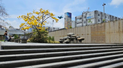 El SES Hospital Universitario de Caldas busca auxiliar de enfermería: ¿usted reúne los requisitos?