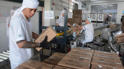 Celema repunta en ventas y aumenta su innovación: estos son algunos de los retos para el segundo semestre