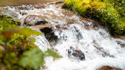 Licorera de Caldas, primera empresa de licores en Colombia con huella de agua: ¿Qué es y para qué sirve?