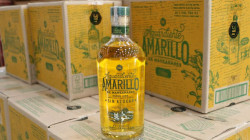 ILC agotará todos los recursos legales para defender la exclusividad del color amarillo de su aguardiente