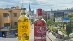 Ron Viejo de Caldas reafirma su popularidad, el 91% de los colombianos lo recuerda en el Top of Mind: análisis