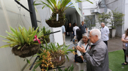 Jardines que Sanan: la naturaleza al servicio del bienestar en el SES Hospital Universitario de Caldas