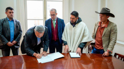 4.968 arroceros de Tolima exportarán 1.404 toneladas anuales a Cuba: negocio por $5.984 millones