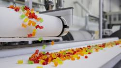 Manizales: abren convocatoria con cerca de 500 empleos, estos son los requisitos y detalles