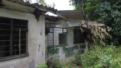 Ruinas y olvido: lo que queda de escuela de Caldas consumida por la selva 