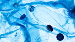 El impacto invisible de los plásticos: enfermedades y millones en pérdidas económicas