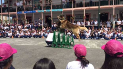 Luego de los cambios de rectores en colegios de Manizales, se vienen otros movimientos