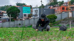 Obras en el estadio Ricardo Tito González: mejoramiento para un fútbol de calidad en Caldas, ya nace la grama