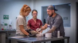 Pereira es sede del Segundo Congreso Internacional de Cuidadores de Fauna Silvestre: hay 4 becas para asistir