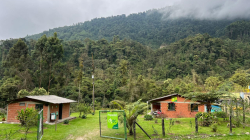 Chec denuncia que 40 caminantes ingresaron sin autorización a reserva natural en Caldas: invita a proteger