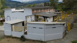 Mataderos en Caldas: quieren acabar con una manada de elefantes blancos, solo funcionan 3 de 15 plantas