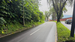 Vía entre Pereira y corregimiento turístico estará cerrada por tala de árbol hoy 29 de octubre