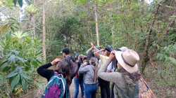 Taller gratis en Manizales: aprenda lo básico para observar aves y celebre el October Big Day