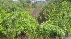 Emergencias en Pereira por aguacero: calles inundadas y deslizamientos de tierra en varias comunas