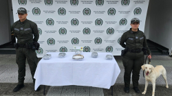 De Cali al oriente de Caldas: perro de la Policía detecta cinco kilogramos de marihuana en encomienda