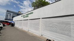 ¿En qué municipios de Caldas hay propiedades con procesos de extinción de dominio?