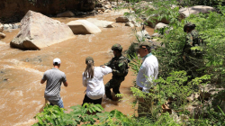 Así le declaran la guerra a la minería ilegal en municipios de Risaralda