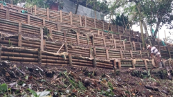 Esta alternativa ecológica sería solución para los municipios del Eje Cafetero afectados por deslizamientos