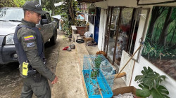 Policía y Corpocaldas unen esfuerzos para proteger la biodiversidad en Manizales