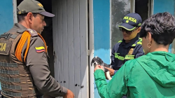 Rescatan tres perros abandonados: el propietario sólo acudía al sitio cada 15 o 20 días