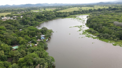 En Caldas delimitan 167 hectáreas de un santuario de biodiversidad: la Charca de Guarinocito en La Dorada