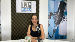 Plumas y café: el proyecto de Manizales que invita a conocer 20 aves a través de un álbum didáctico