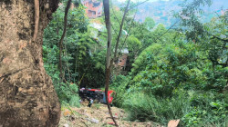Video: bus con 25 pasajeros se salió de la carretera en una curva y cayó a un abismo en Antioquia, hay heridos