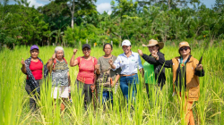 95.107 propietarios de Unidades Económicas se autorreconocieron como pertenecientes a un grupo étnico-racial