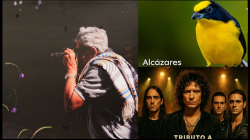 Prográmese y disfrute de la agenda cultural en Manizales y Caldas, desde este viernes 19 de diciembre