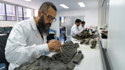 Descubren en Colombia fósiles de tres reptiles marinos del cretácico: tienen entre 89 y 114 millones de años