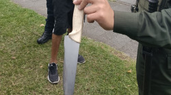 Por hurto frustrado en Manizales queda libre, pero ¿Cómo afecta la nueva ley a la justicia y a las víctimas?