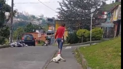 Manizales: un hombre mató a su perro y su papá falleció al presenciar el hecho