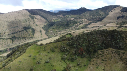 Aquí nace el agua para Manizales: así cuidan la reserva Río Blanco con compra de predios y restauración