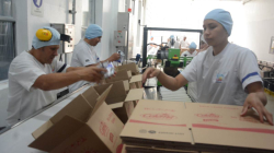 Aunque habrá recortes de personal, no se puede hablar de masacre laboral: Comité Intergremial de Caldas