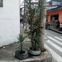 Piden no arrojar basuras en esta esquina del barrio Américas
