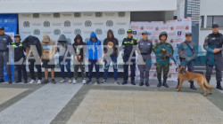 Pitbull, Payaso, Nené, Dumbo, el Diablo y Chava aceptaron ser de banda de jíbaros del Centrosur de Caldas