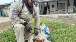 Las lluvias aguan la producción cafetera en Colombia: precio, un 34% por debajo del año pasado