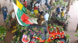  XX Exposición Nacional de Orquídeas en Manizales: así eligieron las mejores de la edición 2026