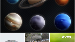 Prográmese y disfrute de la agenda cultural este fin de semana en Manizales y Caldas