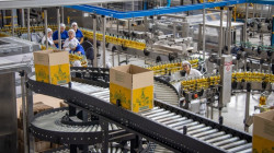 ILC batió récords en producción, ventas y ganancias: de 100 botellas vendidas de ron, 85 son Viejo de Caldas